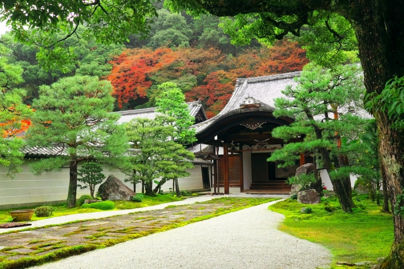 Лучшие достопримечательности Японии в сезон момидзи: Tokyo-Nagoya(Obara,Korankei)-Kyoto-Nara-Osaka