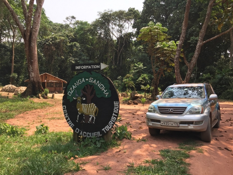 ЦАР, заповедник Дзанга Санга отзывы. Январь 2018