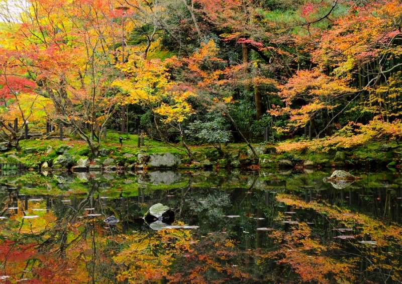 Лучшие достопримечательности Японии в сезон момидзи: Tokyo-Nagoya(Obara,Korankei)-Kyoto-Nara-Osaka