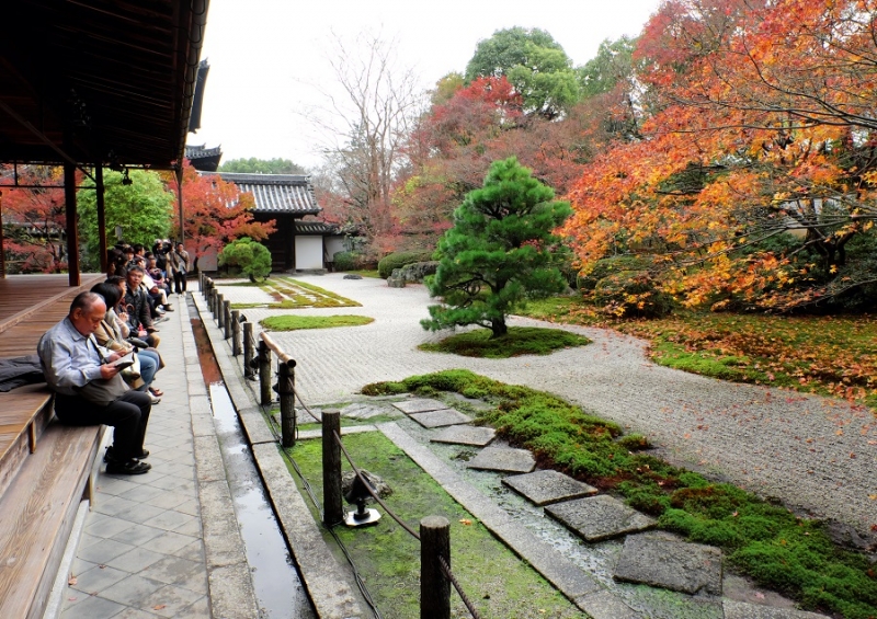 Лучшие достопримечательности Японии в сезон момидзи: Tokyo-Nagoya(Obara,Korankei)-Kyoto-Nara-Osaka