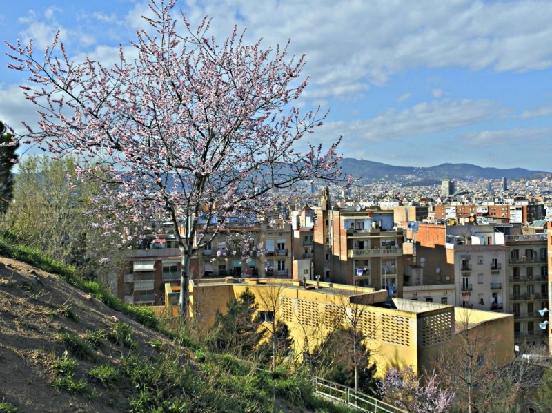 Весна в Барселоне