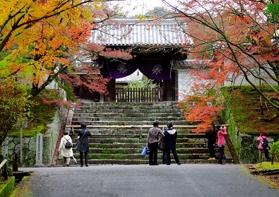 Лучшие достопримечательности Японии в сезон момидзи: Tokyo-Nagoya(Obara,Korankei)-Kyoto-Nara-Osaka