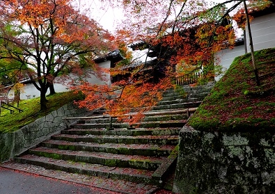 Лучшие достопримечательности Японии в сезон момидзи: Tokyo-Nagoya(Obara,Korankei)-Kyoto-Nara-Osaka