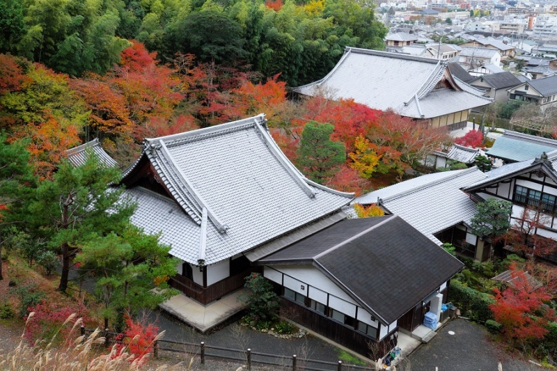 Лучшие достопримечательности Японии в сезон момидзи: Tokyo-Nagoya(Obara,Korankei)-Kyoto-Nara-Osaka