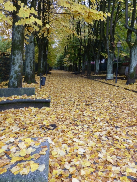 Ленивые прогулки между Миланом и Пармой. И немного Стрезы. Октябрь 2016. На ОТ