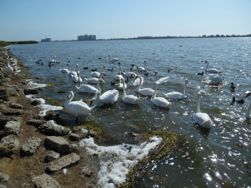 По Крыму на Жигулях с картой и компасом, сентябрь 2017.