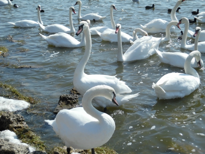 По Крыму на Жигулях с картой и компасом, сентябрь 2017.