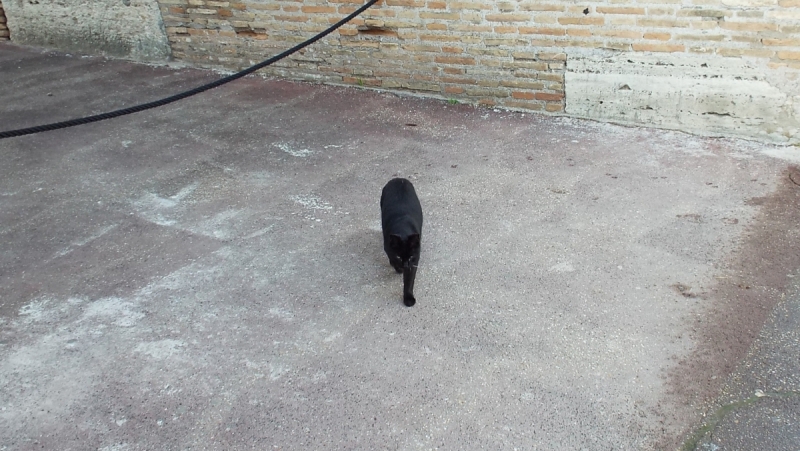 Рим на неделю зимой случайно