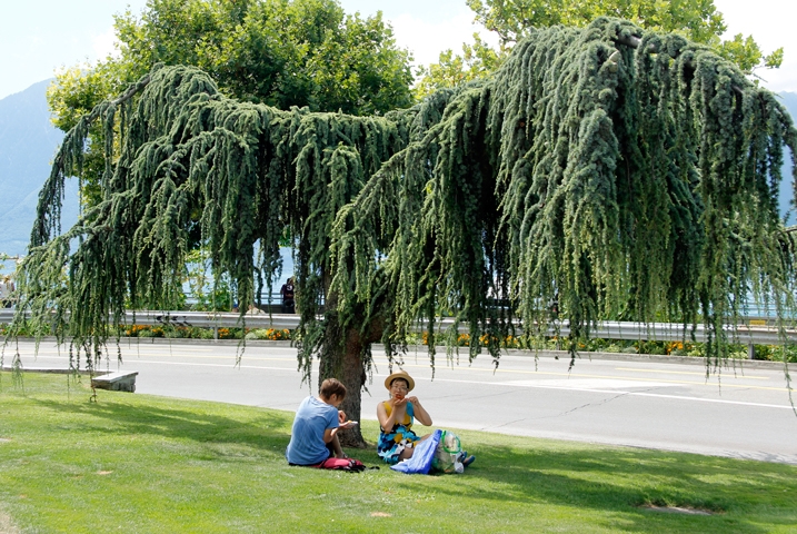 Путешествие 2017 на автомобиле по Европе: Германия, Франция, Швейцария