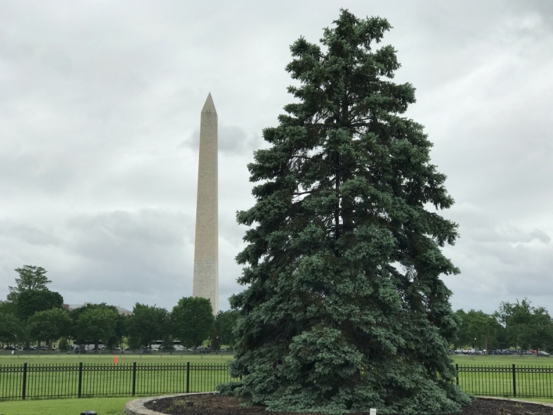 Большие города . Запад и Восток США
