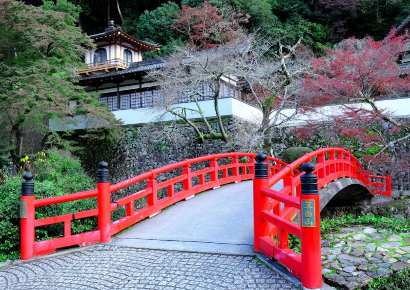 Лучшие достопримечательности Японии в сезон момидзи: Tokyo-Nagoya(Obara,Korankei)-Kyoto-Nara-Osaka