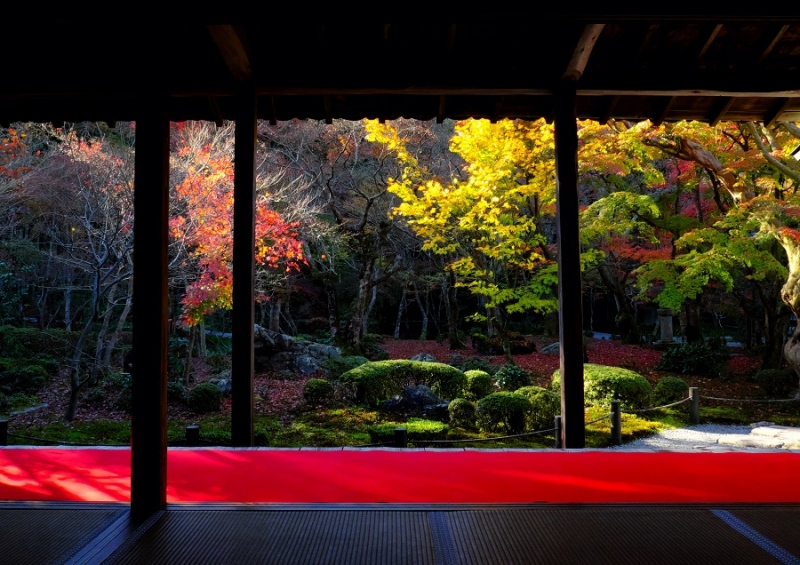 Лучшие достопримечательности Японии в сезон момидзи: Tokyo-Nagoya(Obara,Korankei)-Kyoto-Nara-Osaka