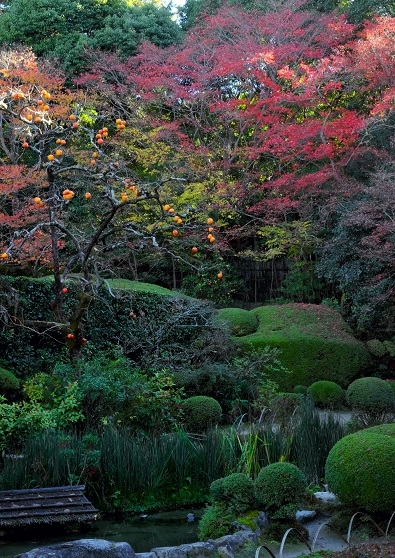 Лучшие достопримечательности Японии в сезон момидзи: Tokyo-Nagoya(Obara,Korankei)-Kyoto-Nara-Osaka