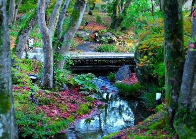 Лучшие достопримечательности Японии в сезон момидзи: Tokyo-Nagoya(Obara,Korankei)-Kyoto-Nara-Osaka