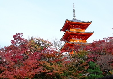 Лучшие достопримечательности Японии в сезон момидзи: Tokyo-Nagoya(Obara,Korankei)-Kyoto-Nara-Osaka