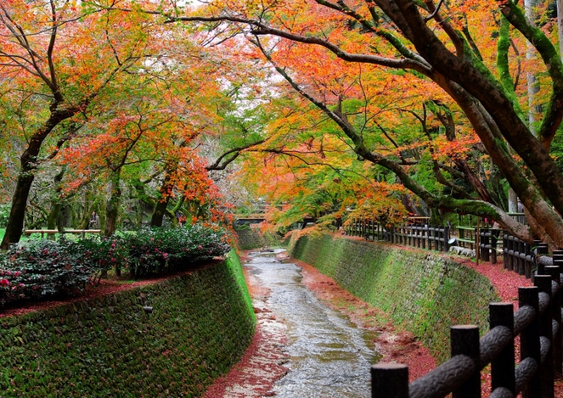 Лучшие достопримечательности Японии в сезон момидзи: Tokyo-Nagoya(Obara,Korankei)-Kyoto-Nara-Osaka