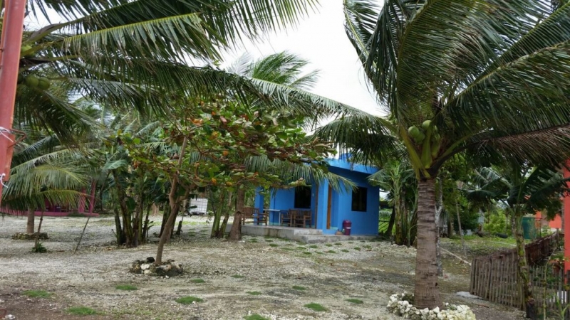 Утомленные снорком 5. Только Моалбоал, только снорк. Апрель 2017, 2018, 2019.