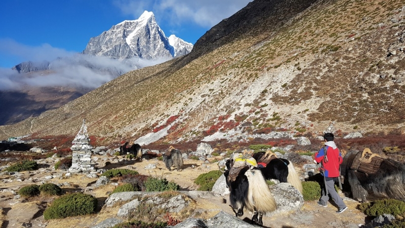 Непал. Соло Три перевала