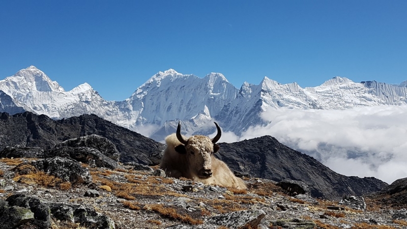 Непал. Соло Три перевала