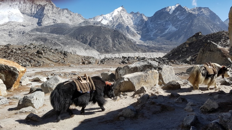 Непал. Соло Три перевала