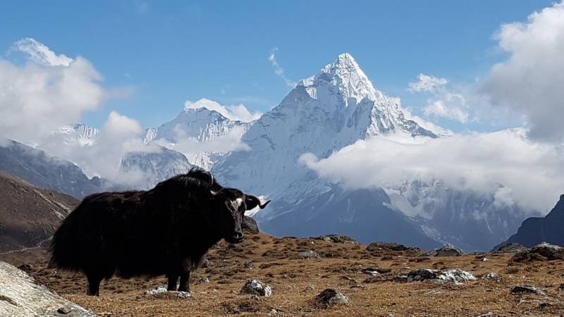 Непал. Соло Три перевала