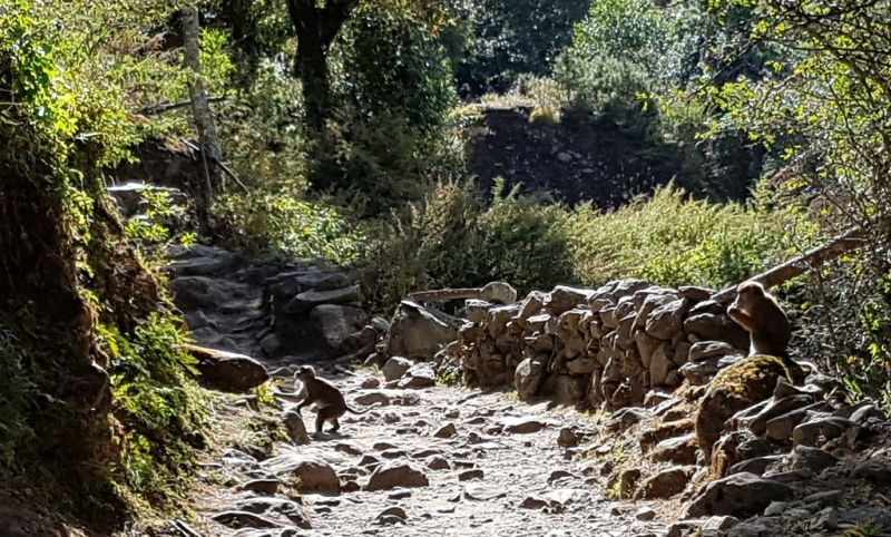 Непал. Соло Три перевала