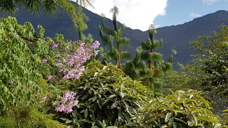 Непал. Соло Три перевала