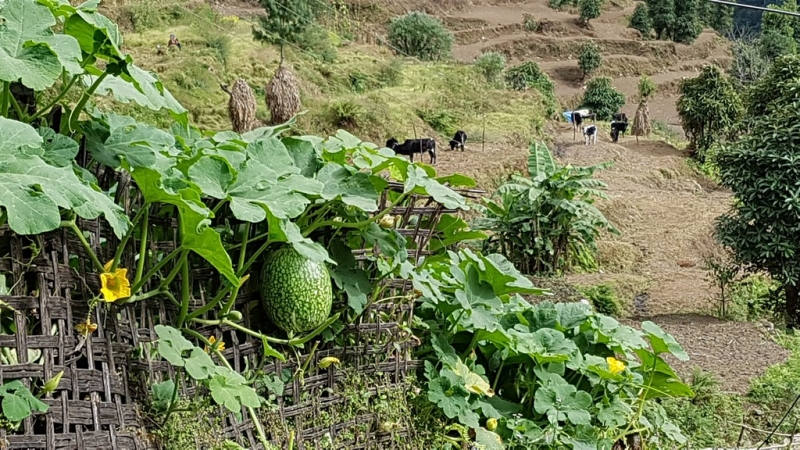Непал. Соло Три перевала