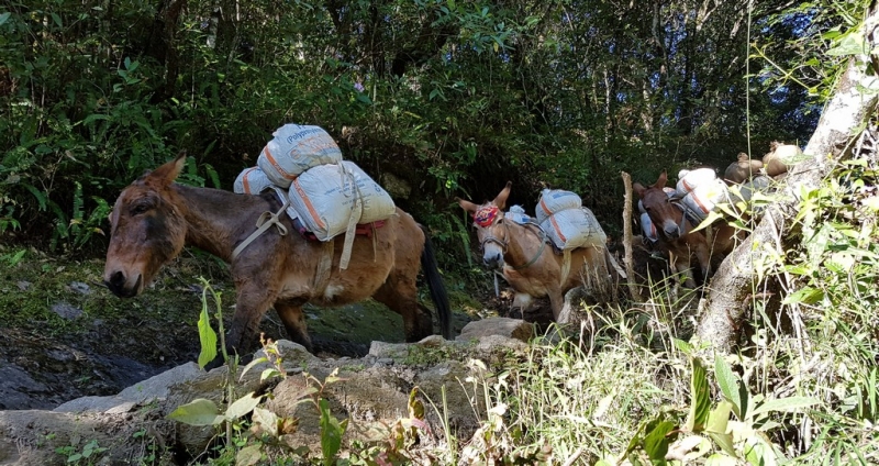 Непал. Соло Три перевала