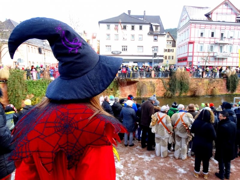 Карнавал в Шварцвальде 2018, на воде и на суше.