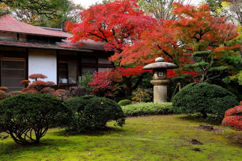 Лучшие достопримечательности Японии в сезон момидзи: Tokyo-Nagoya(Obara,Korankei)-Kyoto-Nara-Osaka