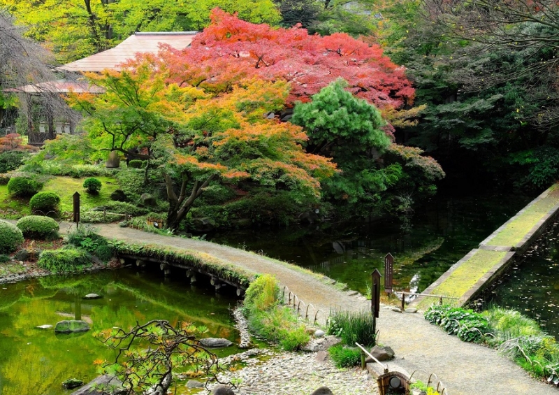 Лучшие достопримечательности Японии в сезон момидзи: Tokyo-Nagoya(Obara,Korankei)-Kyoto-Nara-Osaka