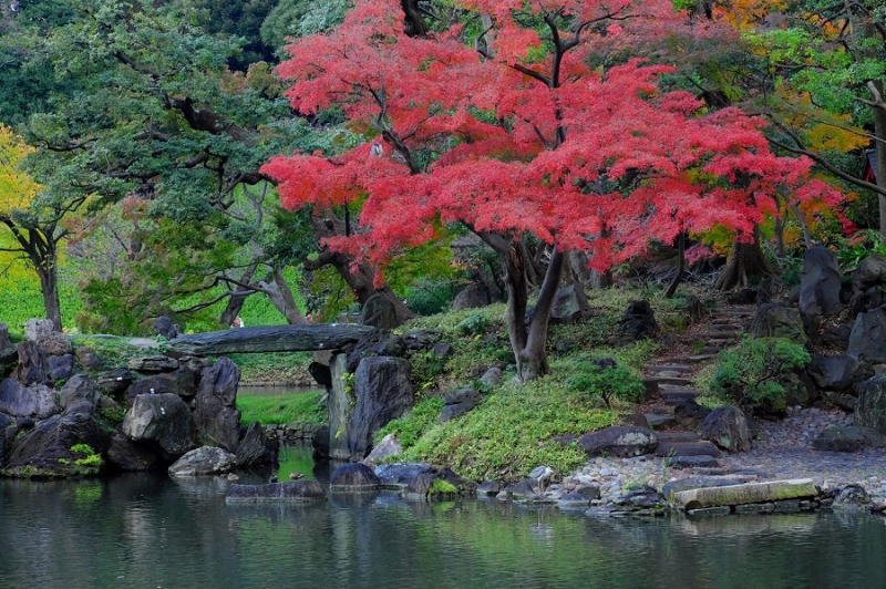 Лучшие достопримечательности Японии в сезон момидзи: Tokyo-Nagoya(Obara,Korankei)-Kyoto-Nara-Osaka