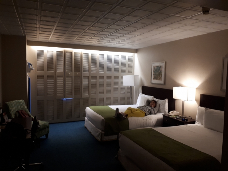 Рождество в Киеве вместо круиза на Принцессе или кругленькая сумма урагану под хвост. Нью- Амстердам-Карибы в январе 2018