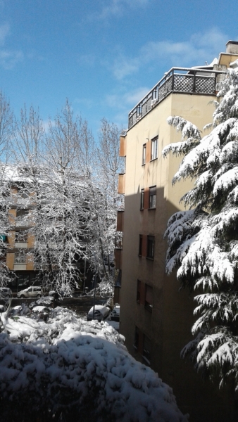 La mia vita. Римские записки, дневник онлайн