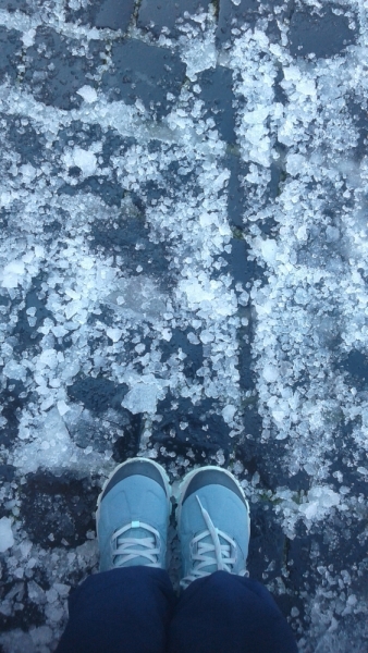 La mia vita. Римские записки, дневник онлайн