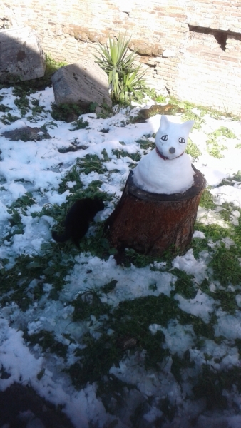 La mia vita. Римские записки, дневник онлайн