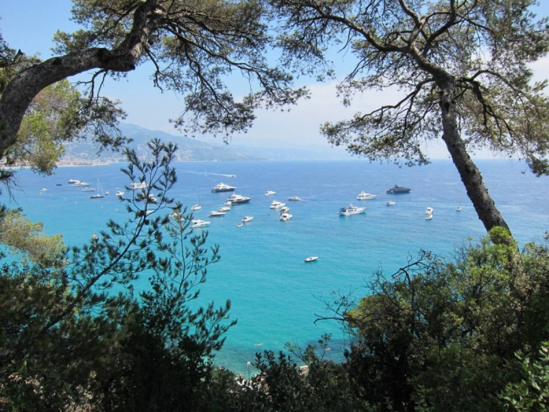 Лаванда, я обязательно найду тебя!)