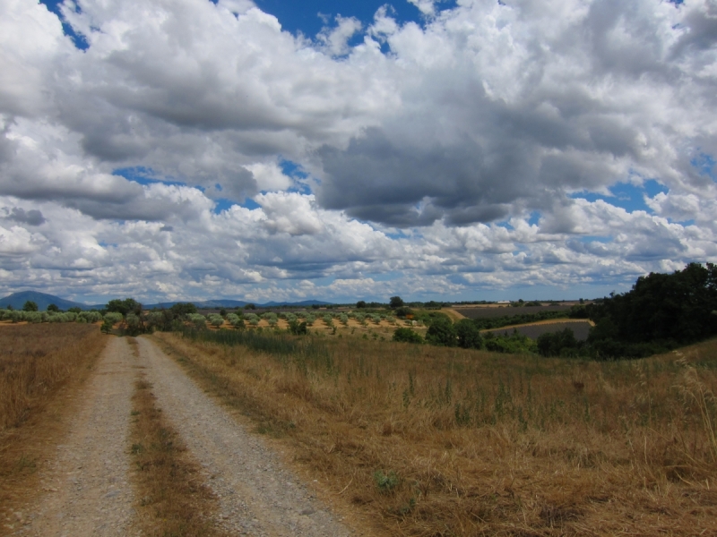Лаванда, я обязательно найду тебя!)