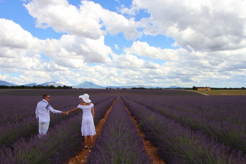 Лаванда, я обязательно найду тебя!)