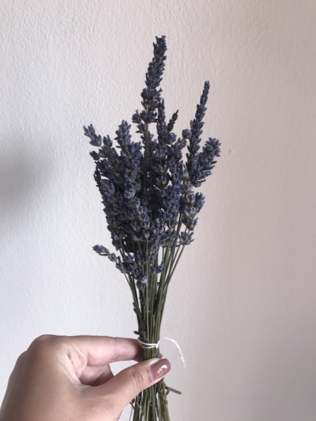 Лаванда, я обязательно найду тебя!)