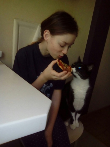 Кошки в нашей жизни. Кошки и все, что с ними связано.