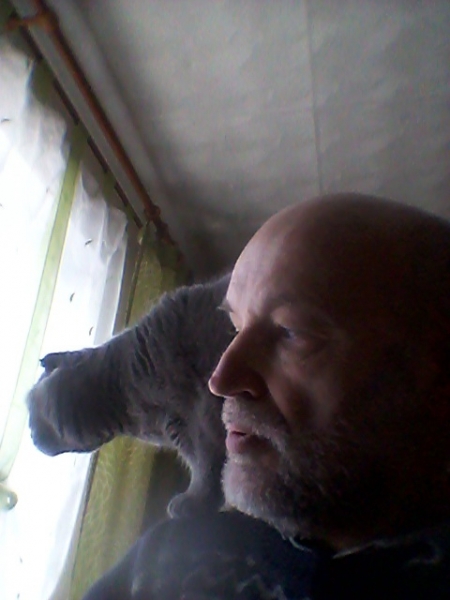 Кошки в нашей жизни. Кошки и все, что с ними связано.