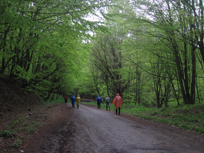 Май в Армении. Гарни, Ехегнадзор, Севан, Дилижан, Ереван. Трекинг.