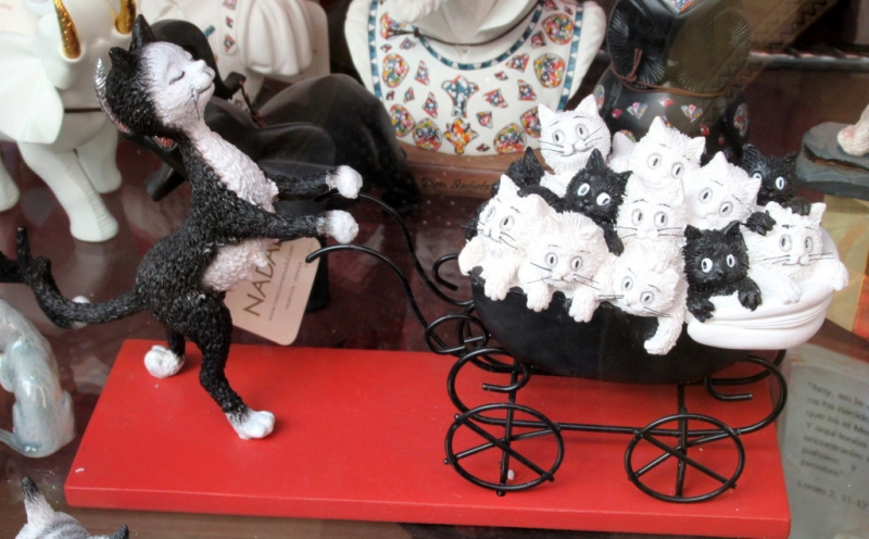 Кошки в нашей жизни. Кошки и все, что с ними связано.