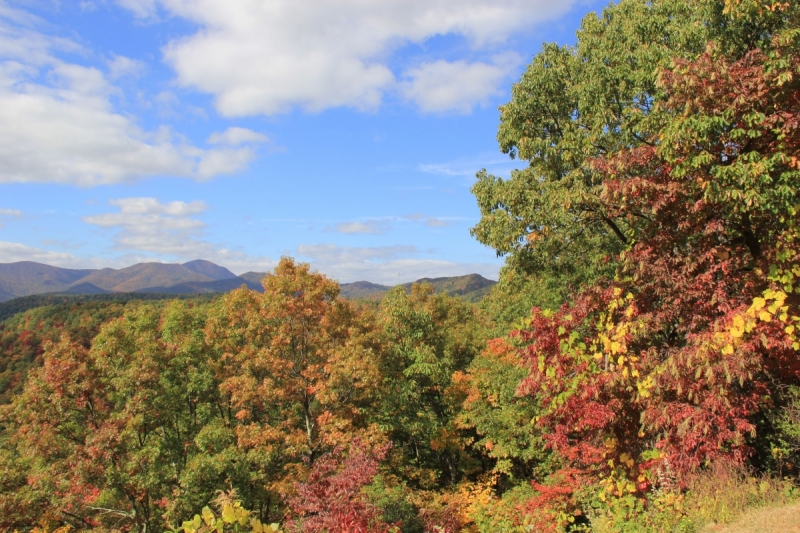 Осень в золоте и багрянце не стеснялась восхищать. Blue Ridge Parkway. 18-22 октября 2016 года.