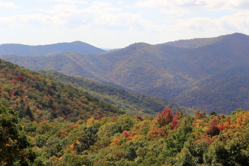 Осень в золоте и багрянце не стеснялась восхищать. Blue Ridge Parkway. 18-22 октября 2016 года.