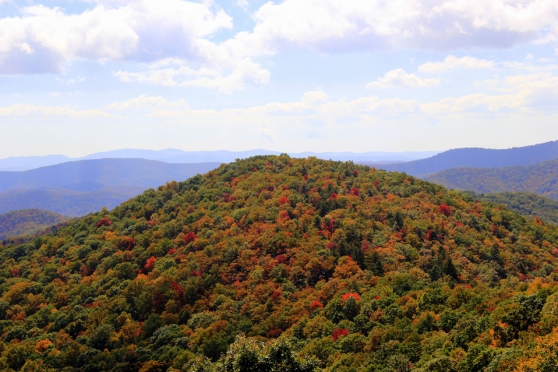 Осень в золоте и багрянце не стеснялась восхищать. Blue Ridge Parkway. 18-22 октября 2016 года.