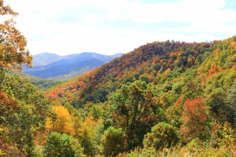 Осень в золоте и багрянце не стеснялась восхищать. Blue Ridge Parkway. 18-22 октября 2016 года.