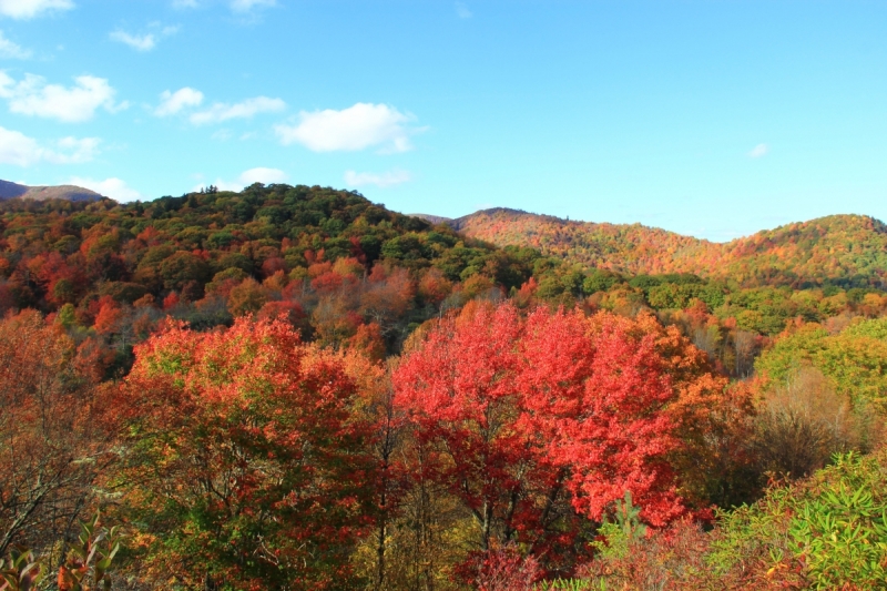 Осень в золоте и багрянце не стеснялась восхищать. Blue Ridge Parkway. 18-22 октября 2016 года.